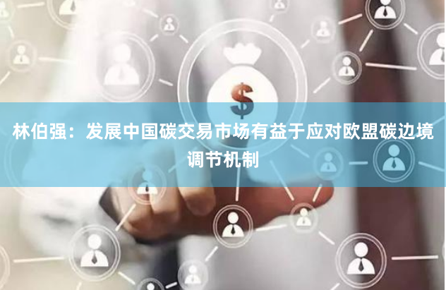 林伯强：发展中国碳交易市场有益于应对欧盟碳边境调节机制