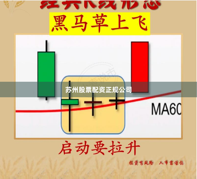 苏州股票配资正规公司